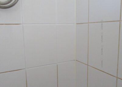Wit geverfde voegen van muurtegels in douche